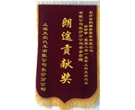 上汽大众朗途贡献奖