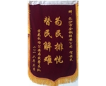 为民排忧  替民解难