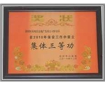 2010年荣获集体三等功奖状